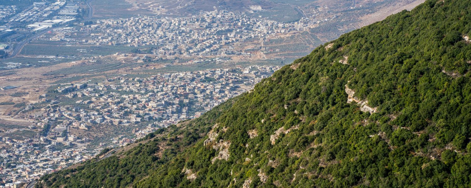עותק-של-עותק-של-DSC05635-1.jpg